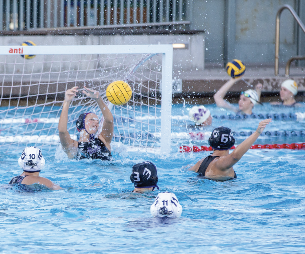 The Varsity water polo tea competes in a match. 